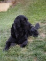 Will posing